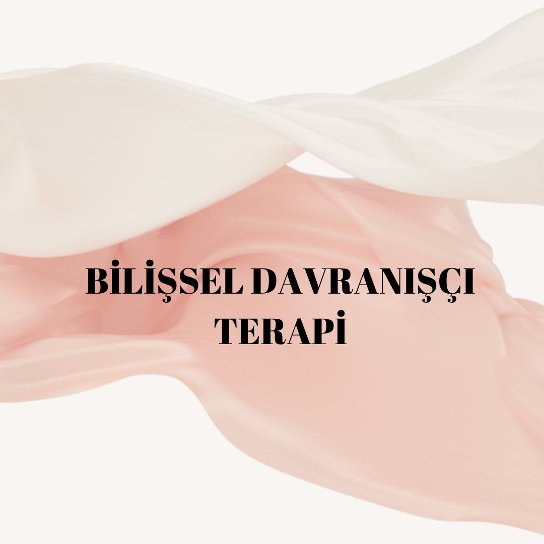 VAN BİLİŞSEL DAVRANIŞÇI TERAPİ
